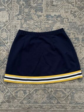 University of Michigan U of M Football Tailgate Cheerleading Mini Skirt